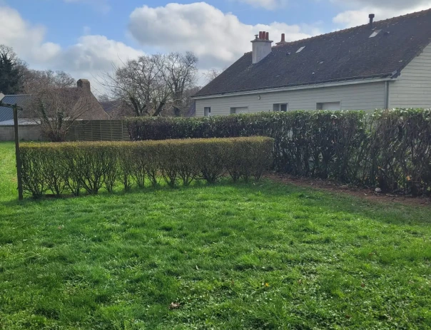 photo espaces verts taillés par CJAL